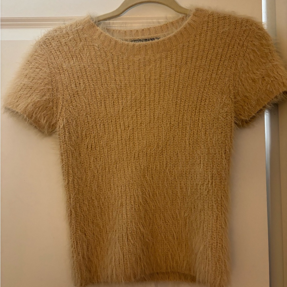 Zara Knit Fuzzy Shortsleeve sweater